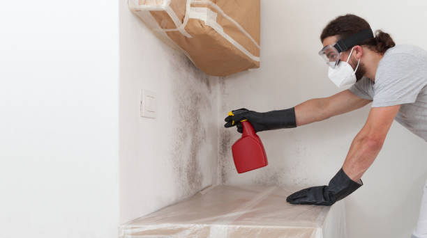 Professional Bathroom Mold Removal technician working in Fort Myers, FL