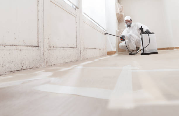 24/7 Emergency Bathroom Mold Removal experts in Fort Myers, FL